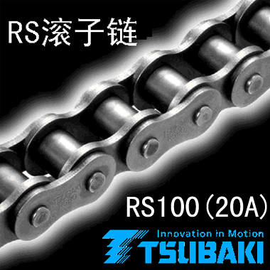 椿本链条RS100 (20A)